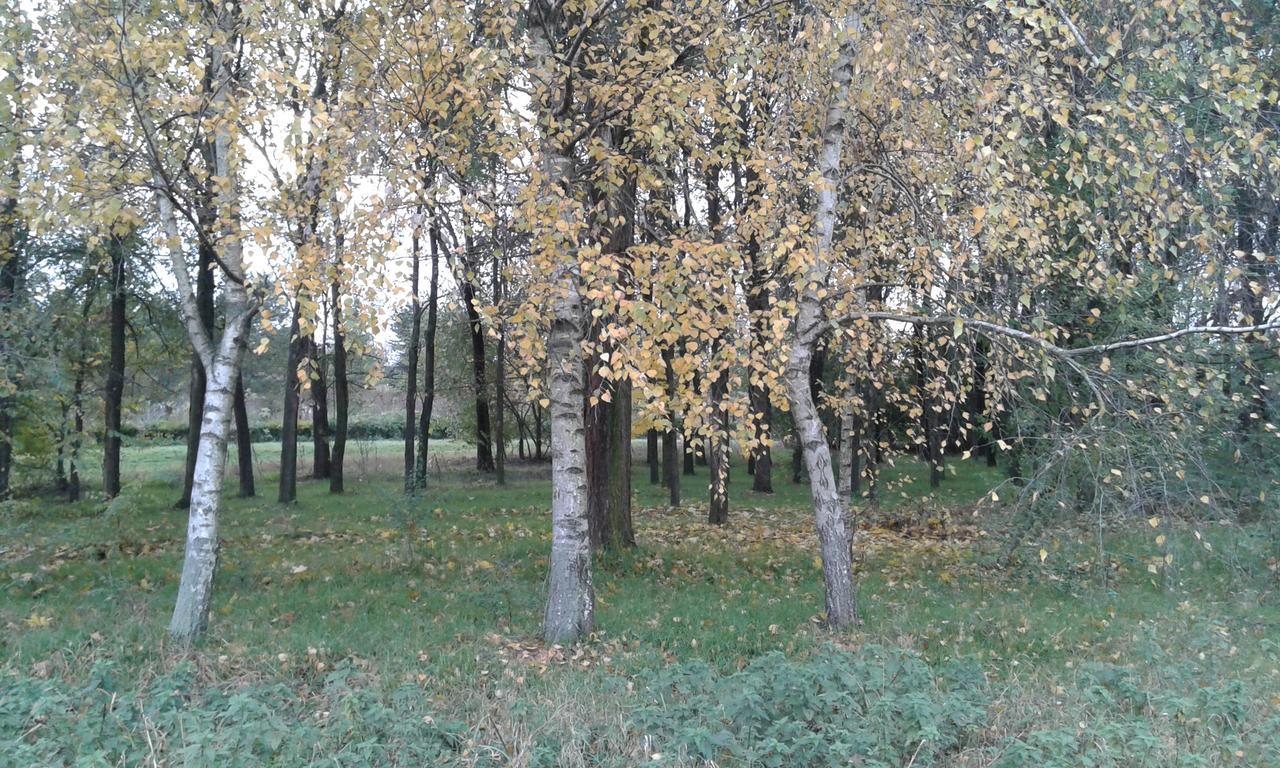 Dvorac Fantast Bečej Exterior foto