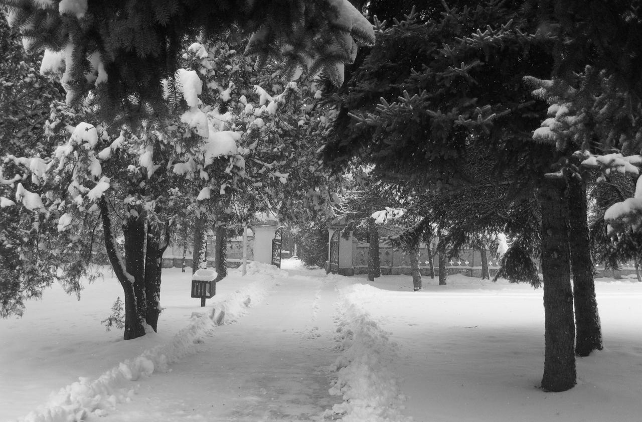 Dvorac Fantast Bečej Exterior foto